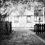 Dcu Larkfield