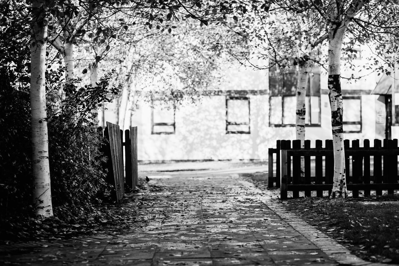 Apartment Dcu Larkfield *